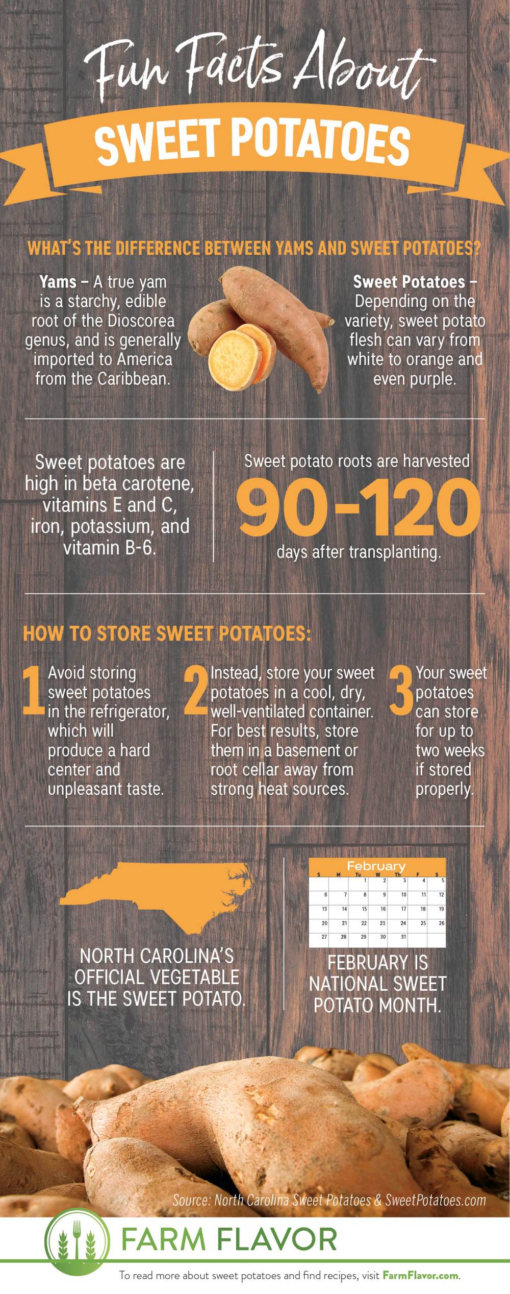 Sweet Potato fun facts infographic